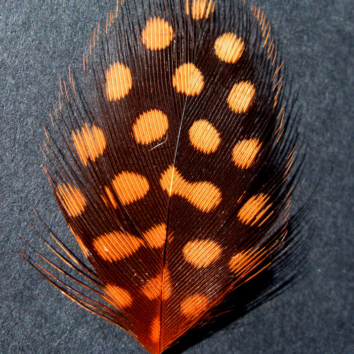 Turrall Guinea Hackles Hot Orange Fly Tying Materials