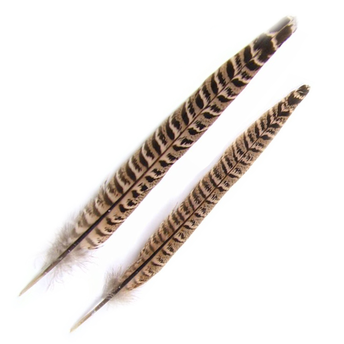 Turrall Hen Pheasant Tail Fly Tying Materials