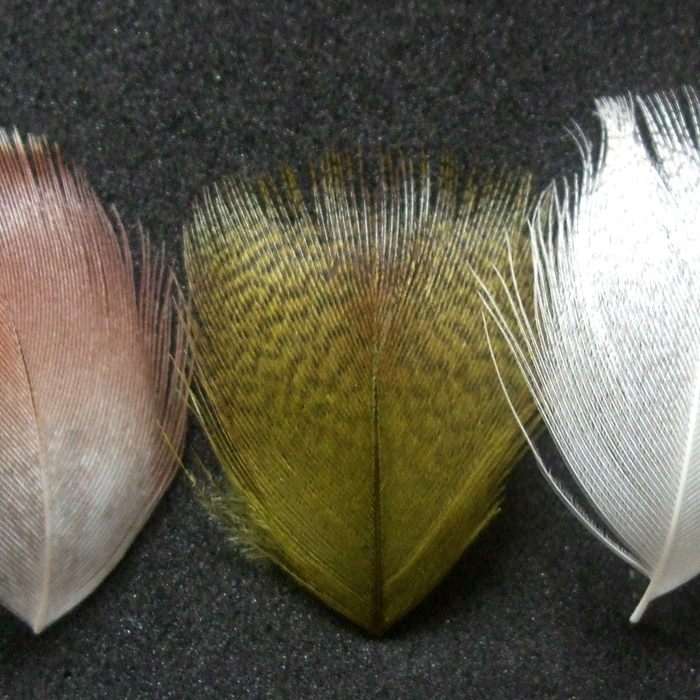 Turrall Mallard Breast Green Fly Tying Materials