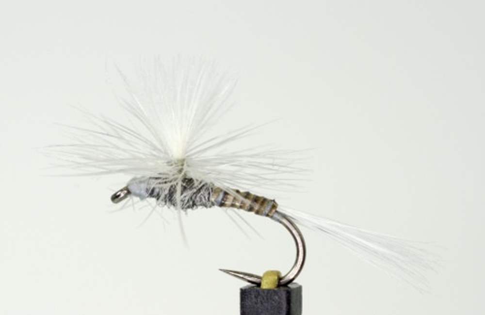 The Essential Fly Barbless Universal Dry All Rounder Fishing Fly